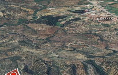 C21 BAL DAN GÖMEÇ KARAAĞAÇTA SATILIK 4661 M2 ZEYTİNLİK