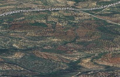 C21 BAL DAN GÖMEÇ KARAAĞAÇTA SATILIK 4661 M2 ZEYTİNLİK