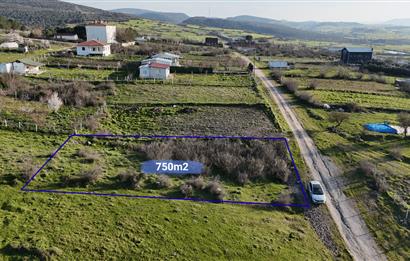 C21 WİNNER KEPSUT NUSRET 705 m² SATILIK ARSA