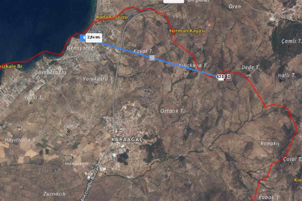 C21 BAL DAN GÖMEÇ KARAAĞAÇTA SATILIK 4661 M2 ZEYTİNLİK