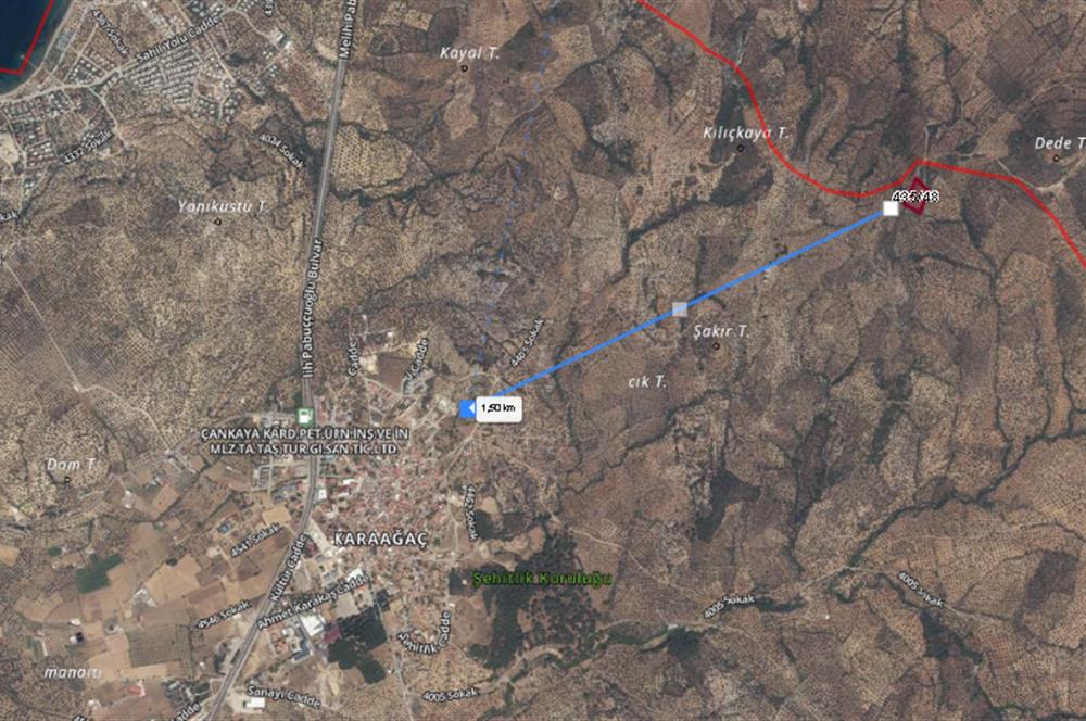 C21 BAL DAN GÖMEÇ KARAAĞAÇTA SATILIK 4661 M2 ZEYTİNLİK