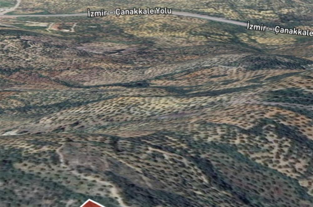 C21 BAL DAN GÖMEÇ KARAAĞAÇTA SATILIK 4661 M2 ZEYTİNLİK