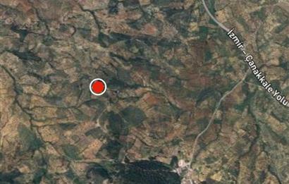 C21 BAL DAN GÖMEÇ KARAAĞAÇTA SATILIK 4661 M2 ZEYTİNLİK