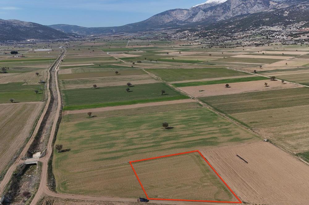 DENİZLİ SERİNHİSAR CUMHURİYET MAHALLESİ'NDE SATILIK 3271m2 TARLA