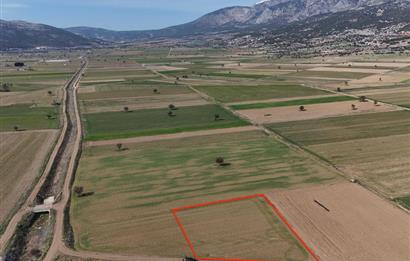 DENİZLİ SERİNHİSAR CUMHURİYET MAHALLESİ'NDE SATILIK 3271m2 TARLA