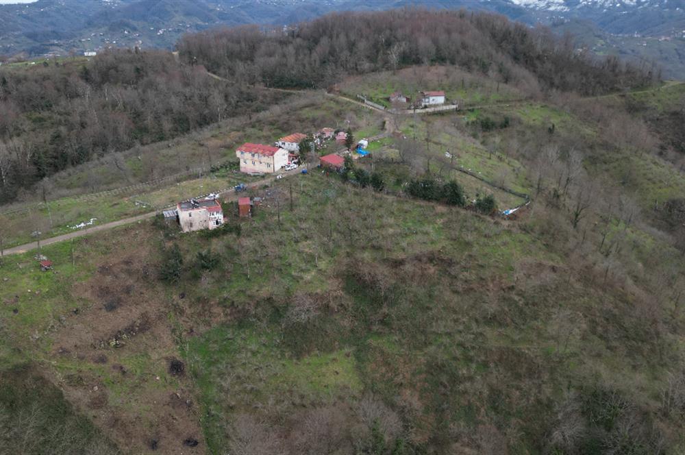 Ordu / Perşembe – Yason Mevkii / Çaytepe’de Satılık Deniz Manzaralı Arsa