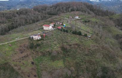 Ordu / Perşembe – Yason Mevkii / Çaytepe’de Satılık Deniz Manzaralı Arsa