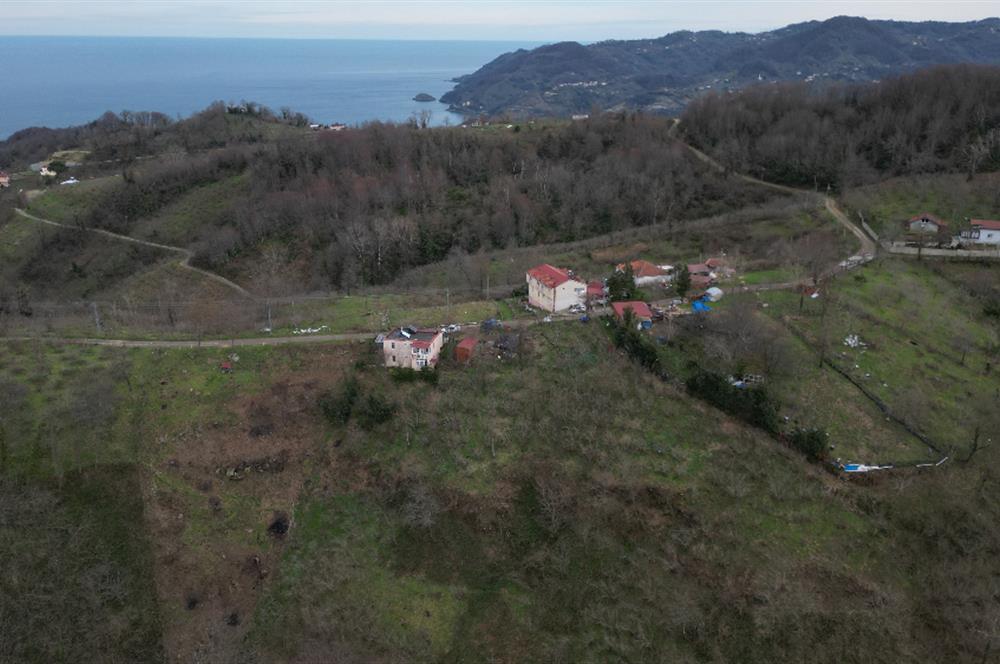Ordu / Perşembe – Yason Mevkii / Çaytepe’de Satılık Deniz Manzaralı Arsa