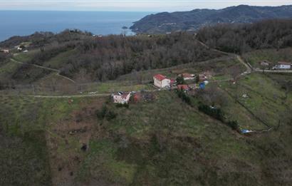 Ordu / Perşembe – Yason Mevkii / Çaytepe’de Satılık Deniz Manzaralı Arsa