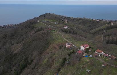 Ordu / Perşembe – Yason Mevkii / Çaytepe’de Satılık Deniz Manzaralı Arsa
