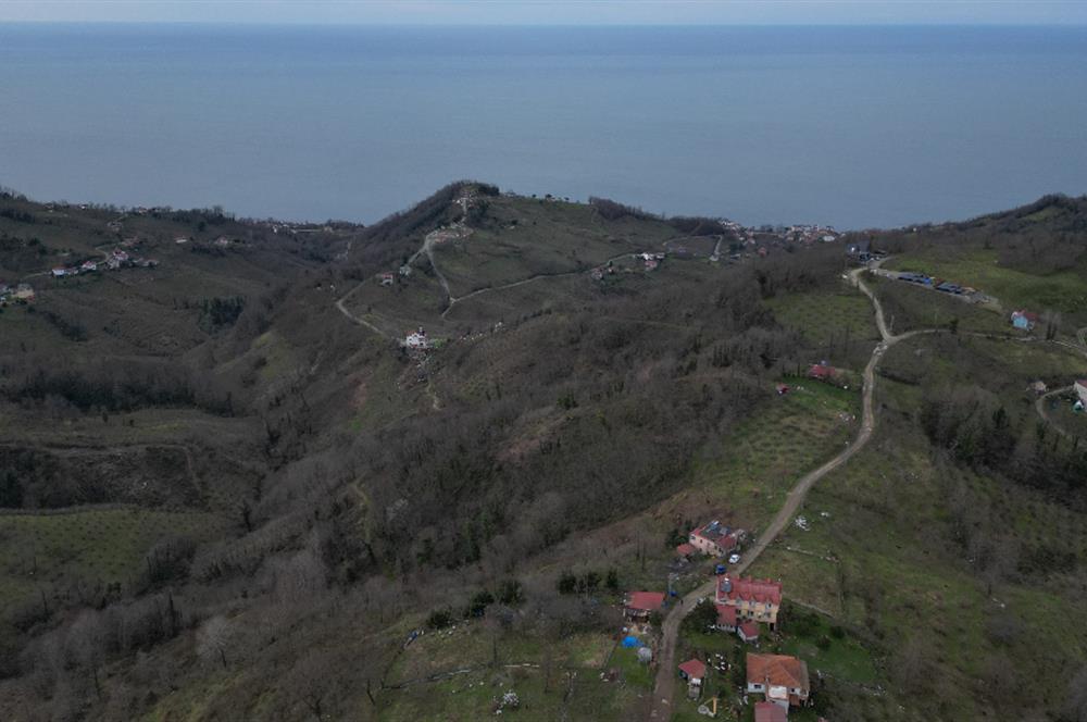Ordu / Perşembe – Yason Mevkii / Çaytepe’de Satılık Deniz Manzaralı Arsa