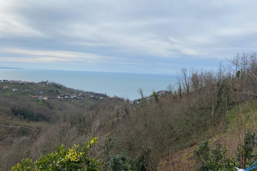 ORDU PERŞEMBE ÇAYTEPE’DE EŞSİZ DENİZ MANZARALI MÜSTAKİL EV VE GENİŞ ARSA FIRSATI