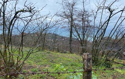 Ordu / Perşembe – Yason Mevkii / Çaytepe’de Satılık Deniz Manzaralı Arsa