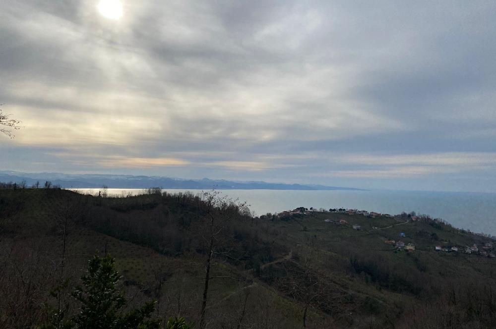 ORDU PERŞEMBE ÇAYTEPE’DE EŞSİZ DENİZ MANZARALI MÜSTAKİL EV VE GENİŞ ARSA FIRSATI