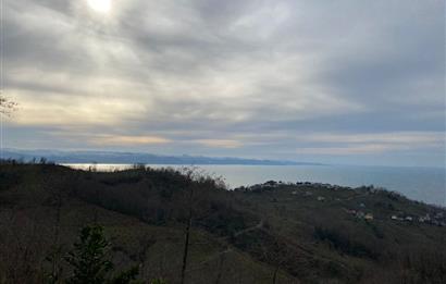 ORDU PERŞEMBE ÇAYTEPE’DE EŞSİZ DENİZ MANZARALI MÜSTAKİL EV VE GENİŞ ARSA FIRSATI