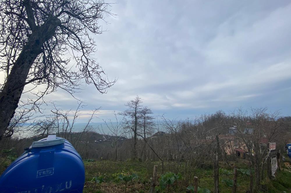 Ordu / Perşembe – Yason Mevkii / Çaytepe’de Satılık Deniz Manzaralı Arsa