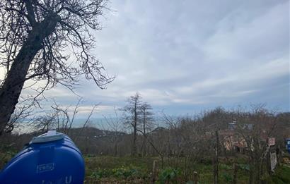 Ordu / Perşembe – Yason Mevkii / Çaytepe’de Satılık Deniz Manzaralı Arsa