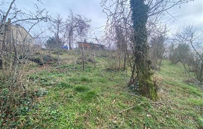 Ordu / Perşembe – Yason Mevkii / Çaytepe’de Satılık Deniz Manzaralı Arsa