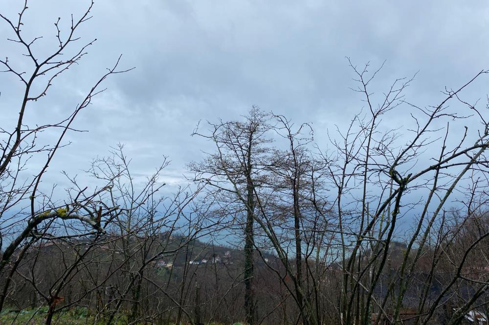 Ordu / Perşembe – Yason Mevkii / Çaytepe’de Satılık Deniz Manzaralı Arsa