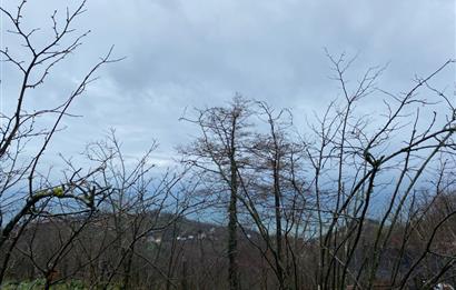 Ordu / Perşembe – Yason Mevkii / Çaytepe’de Satılık Deniz Manzaralı Arsa