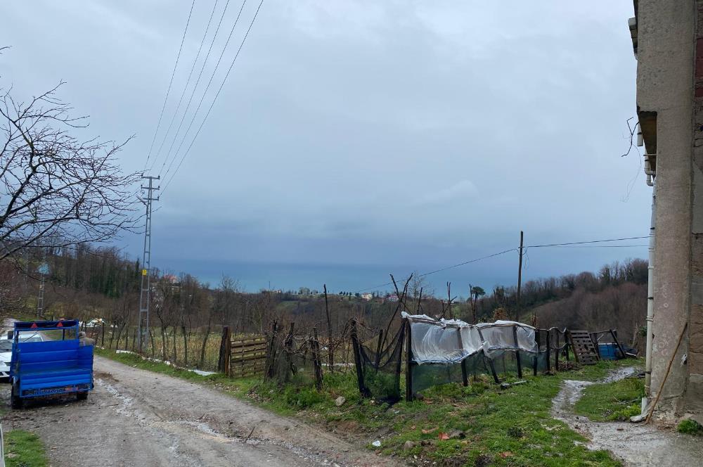 Ordu / Perşembe – Yason Mevkii / Çaytepe’de Satılık Deniz Manzaralı Arsa