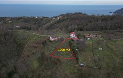 Ordu / Perşembe – Yason Mevkii / Çaytepe’de Satılık Deniz Manzaralı Arsa