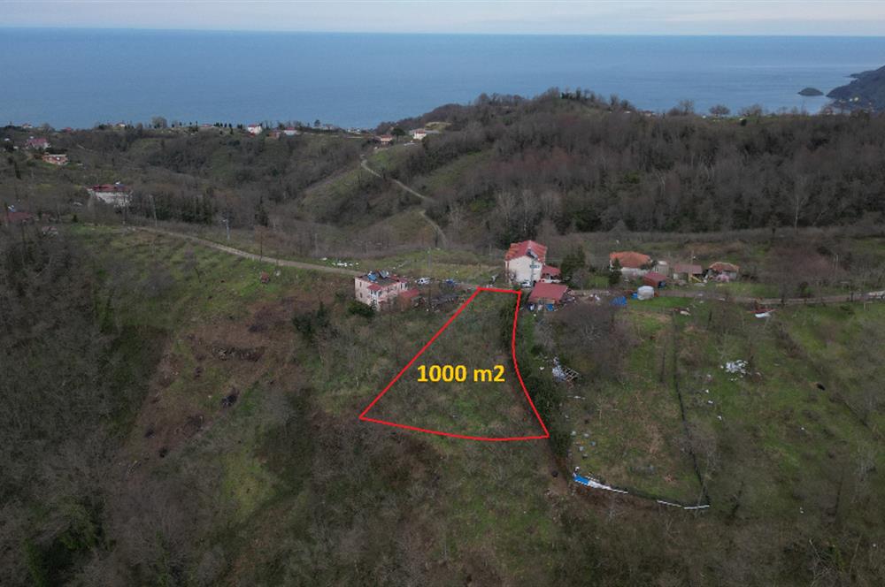 Ordu / Perşembe – Yason Mevkii / Çaytepe’de Satılık Deniz Manzaralı Arsa