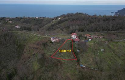 Ordu / Perşembe – Yason Mevkii / Çaytepe’de Satılık Deniz Manzaralı Arsa