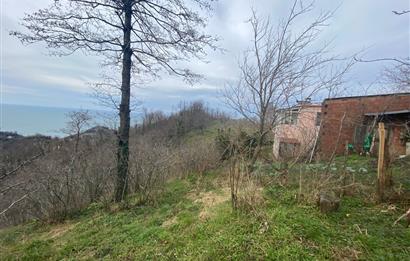 ORDU PERŞEMBE ÇAYTEPE’DE EŞSİZ DENİZ MANZARALI MÜSTAKİL EV VE GENİŞ ARSA FIRSATI