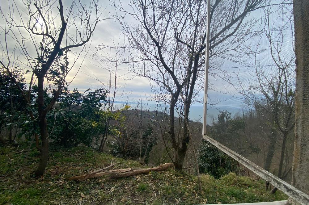 ORDU PERŞEMBE ÇAYTEPE’DE EŞSİZ DENİZ MANZARALI MÜSTAKİL EV VE GENİŞ ARSA FIRSATI