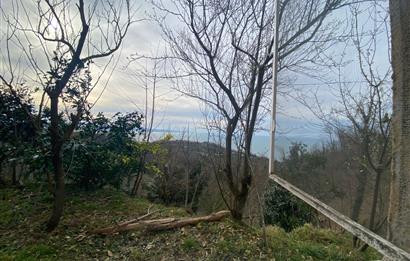 ORDU PERŞEMBE ÇAYTEPE’DE EŞSİZ DENİZ MANZARALI MÜSTAKİL EV VE GENİŞ ARSA FIRSATI