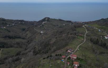 ORDU PERŞEMBE ÇAYTEPE’DE EŞSİZ DENİZ MANZARALI MÜSTAKİL EV VE GENİŞ ARSA FIRSATI