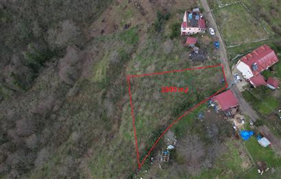 Ordu / Perşembe – Yason Mevkii / Çaytepe’de Satılık Deniz Manzaralı Arsa