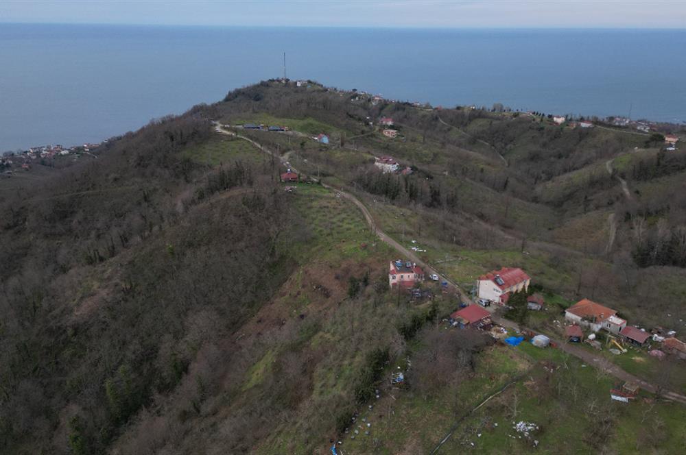 ORDU PERŞEMBE ÇAYTEPE’DE EŞSİZ DENİZ MANZARALI MÜSTAKİL EV VE GENİŞ ARSA FIRSATI