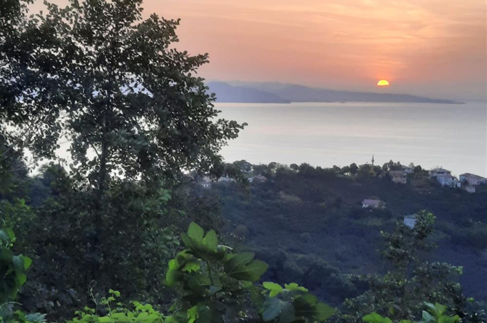 ORDU PERŞEMBE ÇAYTEPE’DE EŞSİZ DENİZ MANZARALI MÜSTAKİL EV VE GENİŞ ARSA FIRSATI