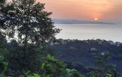 ORDU PERŞEMBE ÇAYTEPE’DE EŞSİZ DENİZ MANZARALI MÜSTAKİL EV VE GENİŞ ARSA FIRSATI