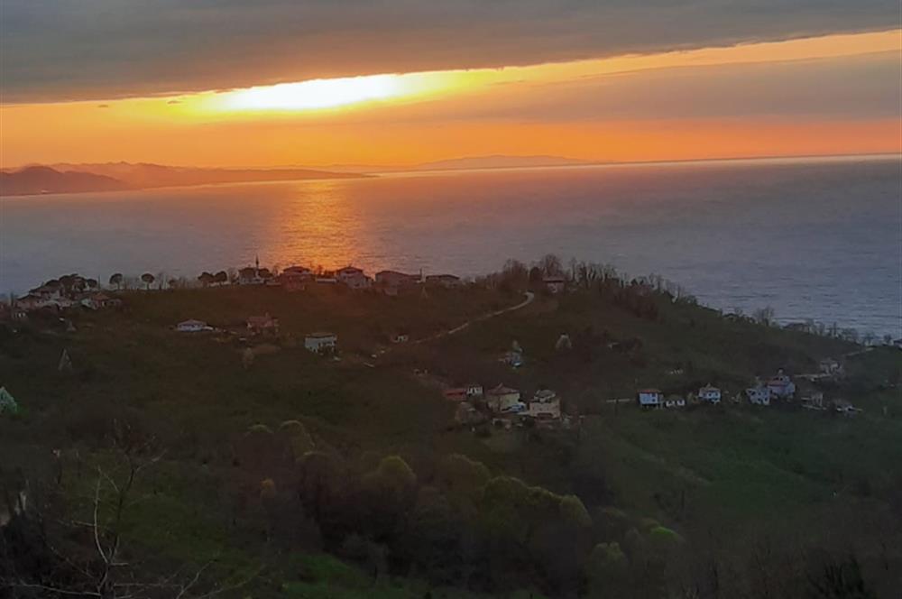 ORDU PERŞEMBE ÇAYTEPE’DE EŞSİZ DENİZ MANZARALI MÜSTAKİL EV VE GENİŞ ARSA FIRSATI