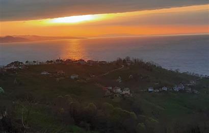 ORDU PERŞEMBE ÇAYTEPE’DE EŞSİZ DENİZ MANZARALI MÜSTAKİL EV VE GENİŞ ARSA FIRSATI