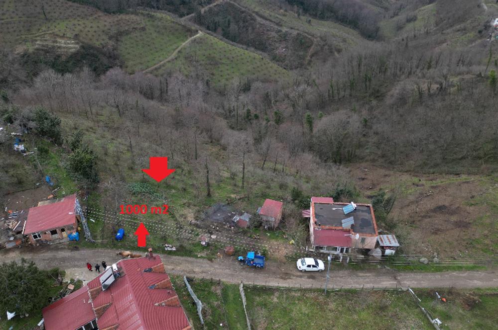 Ordu / Perşembe – Yason Mevkii / Çaytepe’de Satılık Deniz Manzaralı Arsa