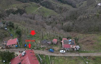Ordu / Perşembe – Yason Mevkii / Çaytepe’de Satılık Deniz Manzaralı Arsa