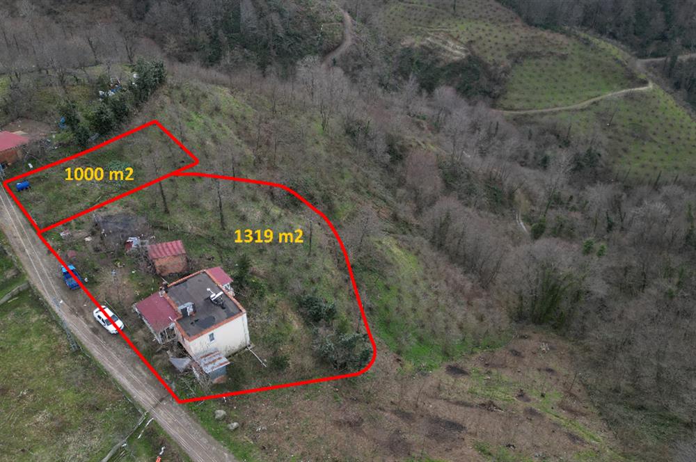 Ordu / Perşembe – Yason Mevkii / Çaytepe’de Satılık Deniz Manzaralı Arsa