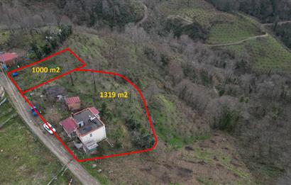 Ordu / Perşembe – Yason Mevkii / Çaytepe’de Satılık Deniz Manzaralı Arsa