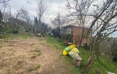 ORDU PERŞEMBE ÇAYTEPE’DE EŞSİZ DENİZ MANZARALI MÜSTAKİL EV VE GENİŞ ARSA FIRSATI
