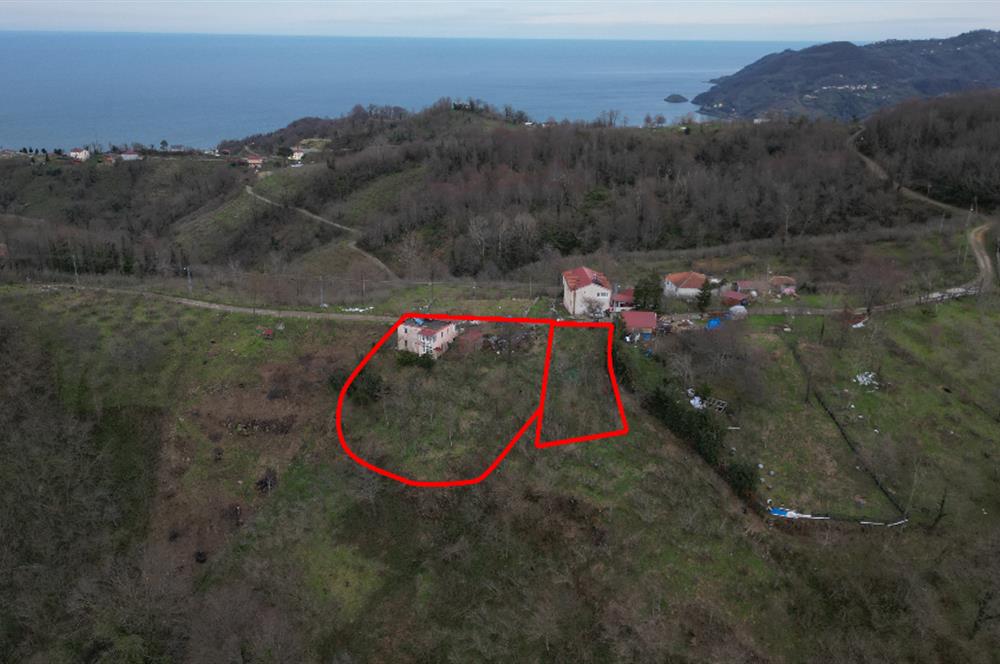 Ordu / Perşembe – Yason Mevkii / Çaytepe’de Satılık Deniz Manzaralı Arsa