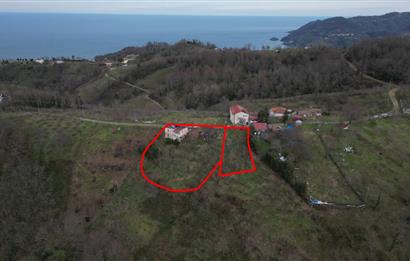 Ordu / Perşembe – Yason Mevkii / Çaytepe’de Satılık Deniz Manzaralı Arsa