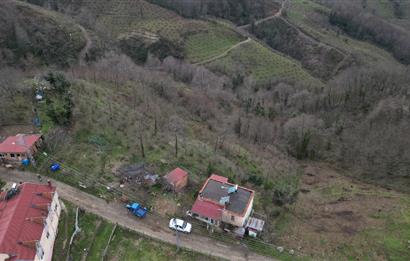 Ordu / Perşembe – Yason Mevkii / Çaytepe’de Satılık Deniz Manzaralı Arsa