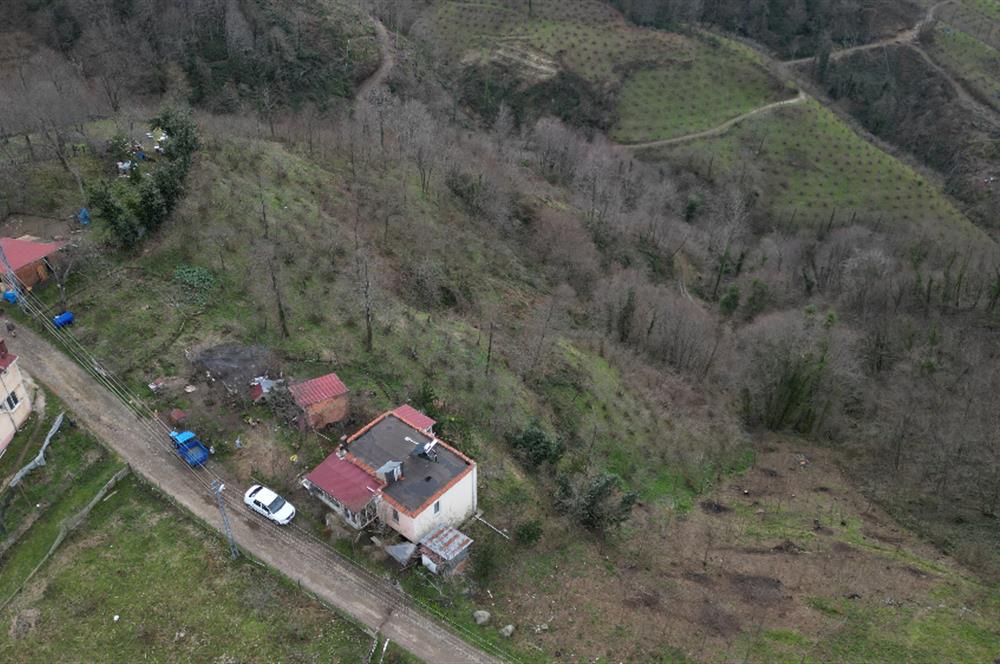 Ordu / Perşembe – Yason Mevkii / Çaytepe’de Satılık Deniz Manzaralı Arsa