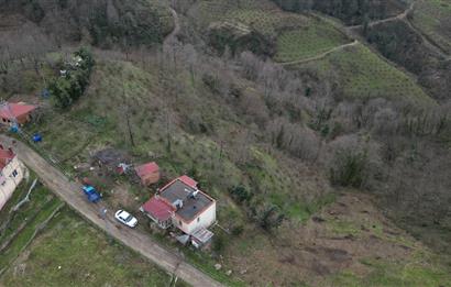 Ordu / Perşembe – Yason Mevkii / Çaytepe’de Satılık Deniz Manzaralı Arsa