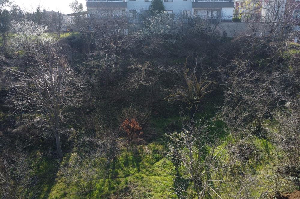 C21 KURA'DAN VİLLALIK MÜSTAKİL PARSEL