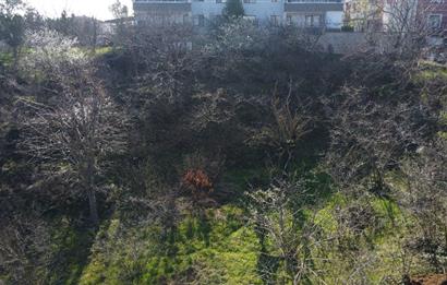 C21 KURA'DAN VİLLALIK MÜSTAKİL PARSEL